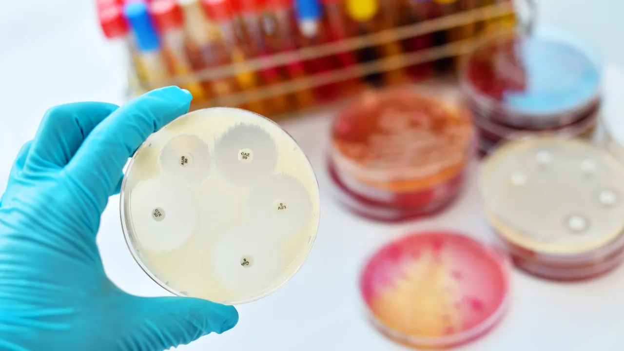 نمایشگاه صنعت مدلاب خاورمیانه MEDLAB MIDDLE EAST 2026 امارات