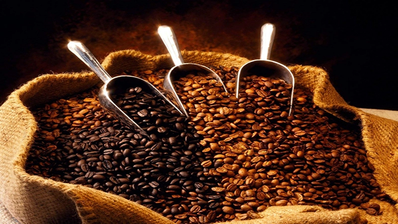 واردات قهوه