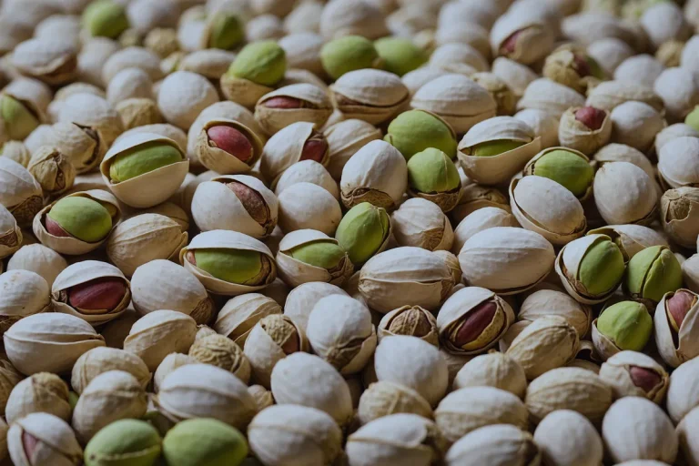 صادرات پسته